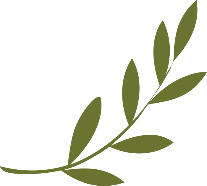 Olive branch Peace symbols Olive wreath