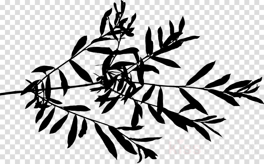 branch with leaves clipart silhouette