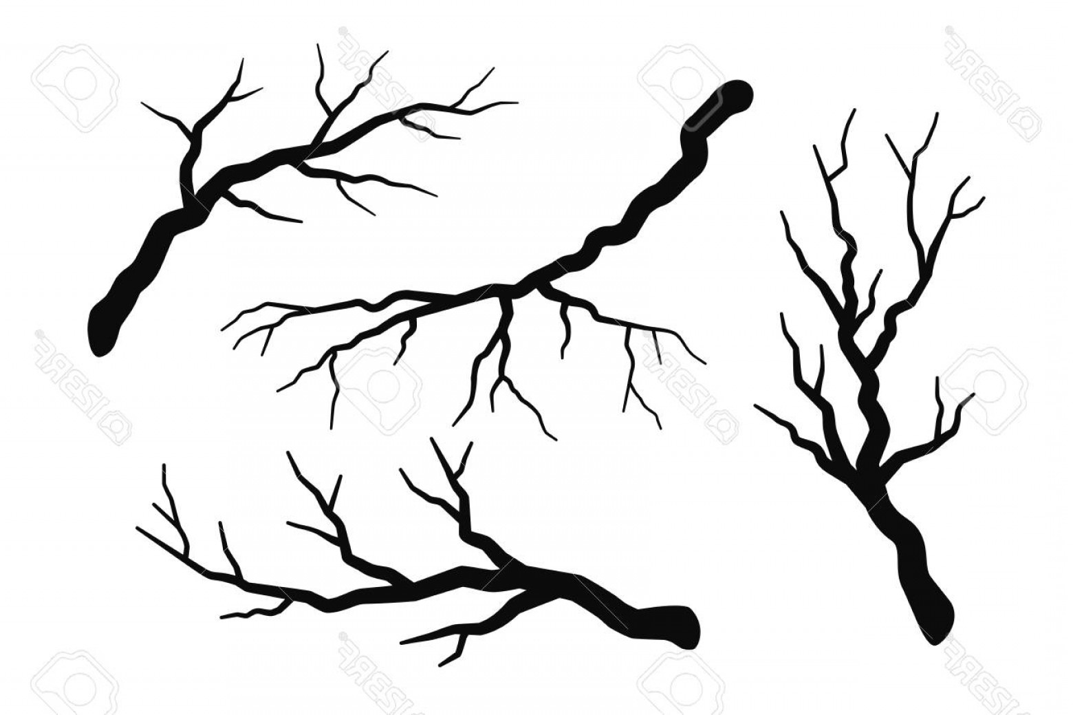 Photostock Vector Tree Branch Without Leaves Silhouettes Set