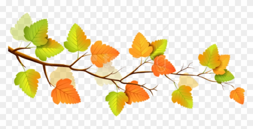 Free Png Download Autumn Png Images Background Png