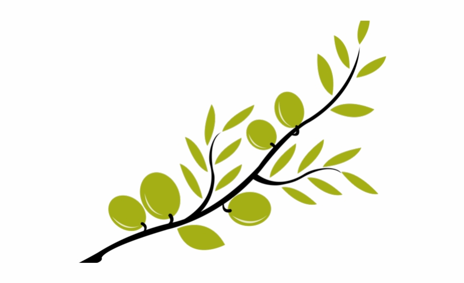 branch with leaves clipart transparent background