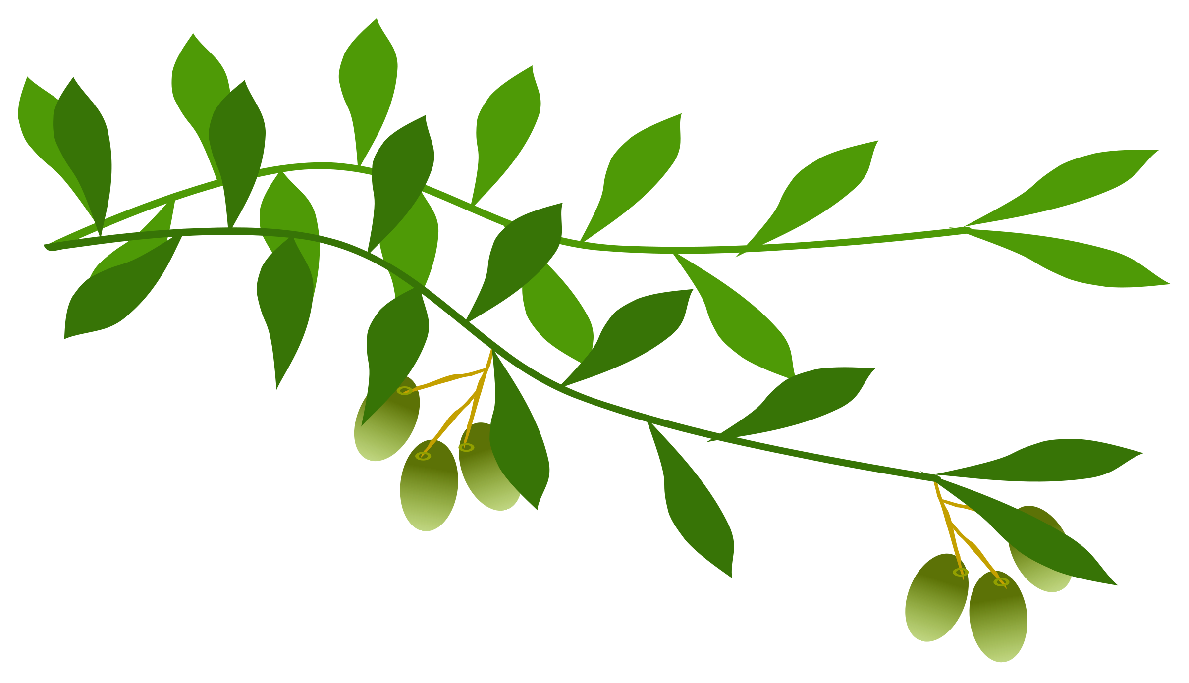 Free Olive Branch Transparent, Download Free Clip Art, Free