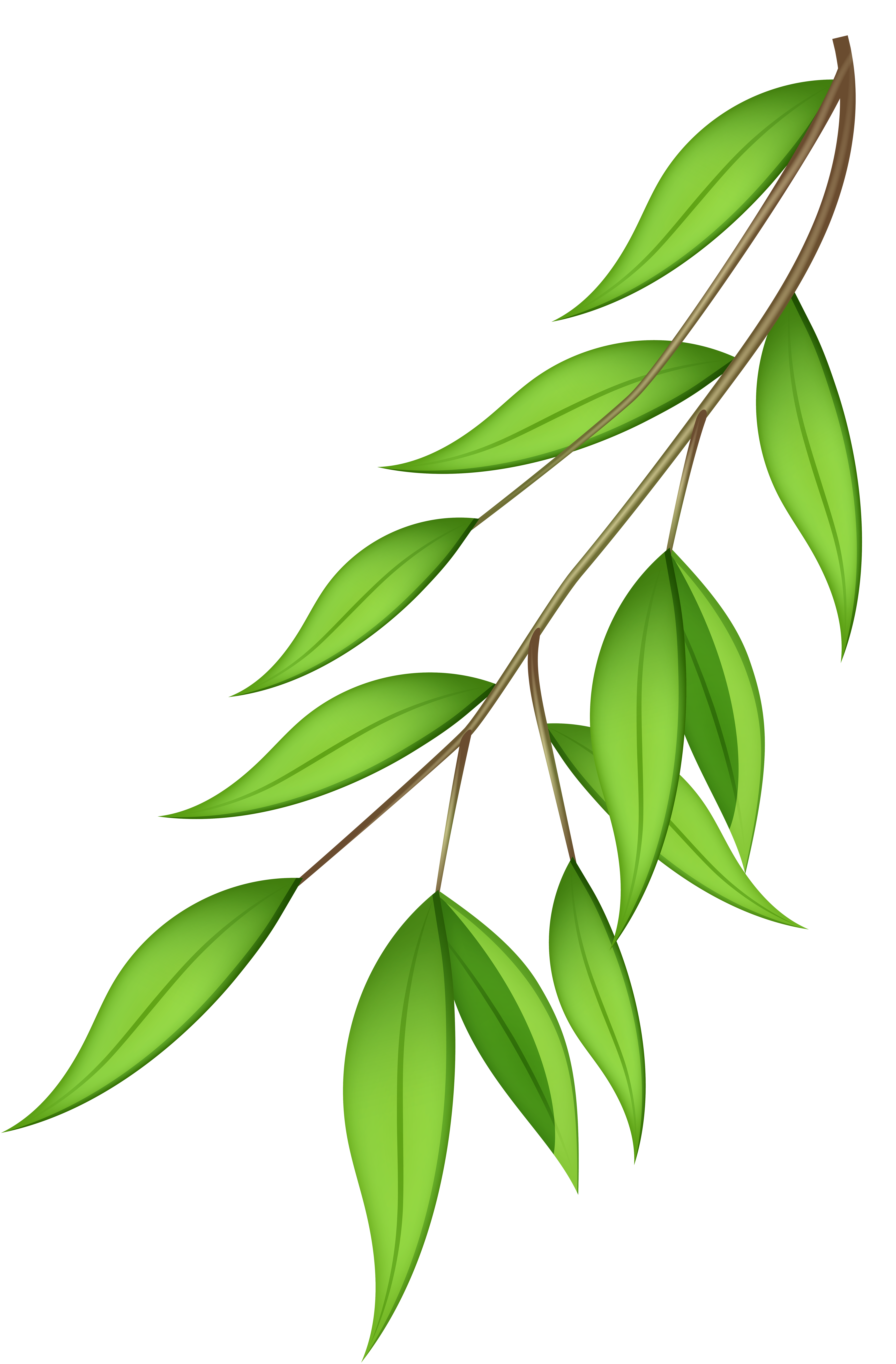 Free Transparent Branch Cliparts, Download Free Clip Art