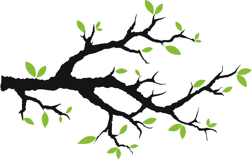 Tree Branch With Leaves Vinyl Wall Decals Trees