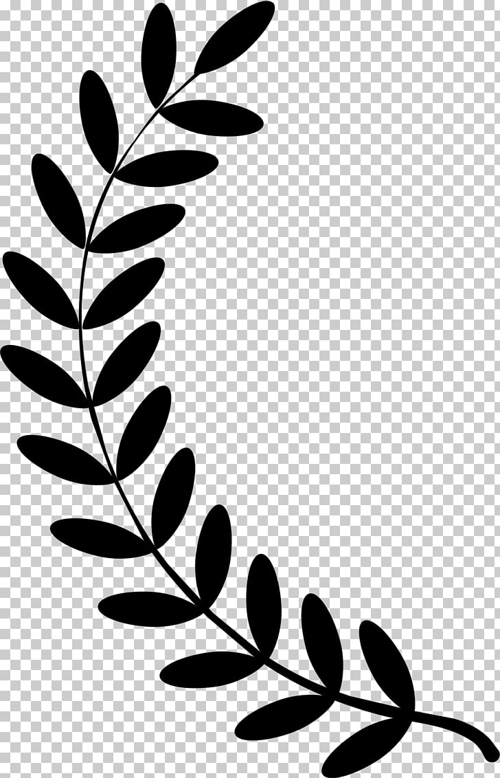 Olive branch Laurel wreath , Laurel Wreath s, black leaf