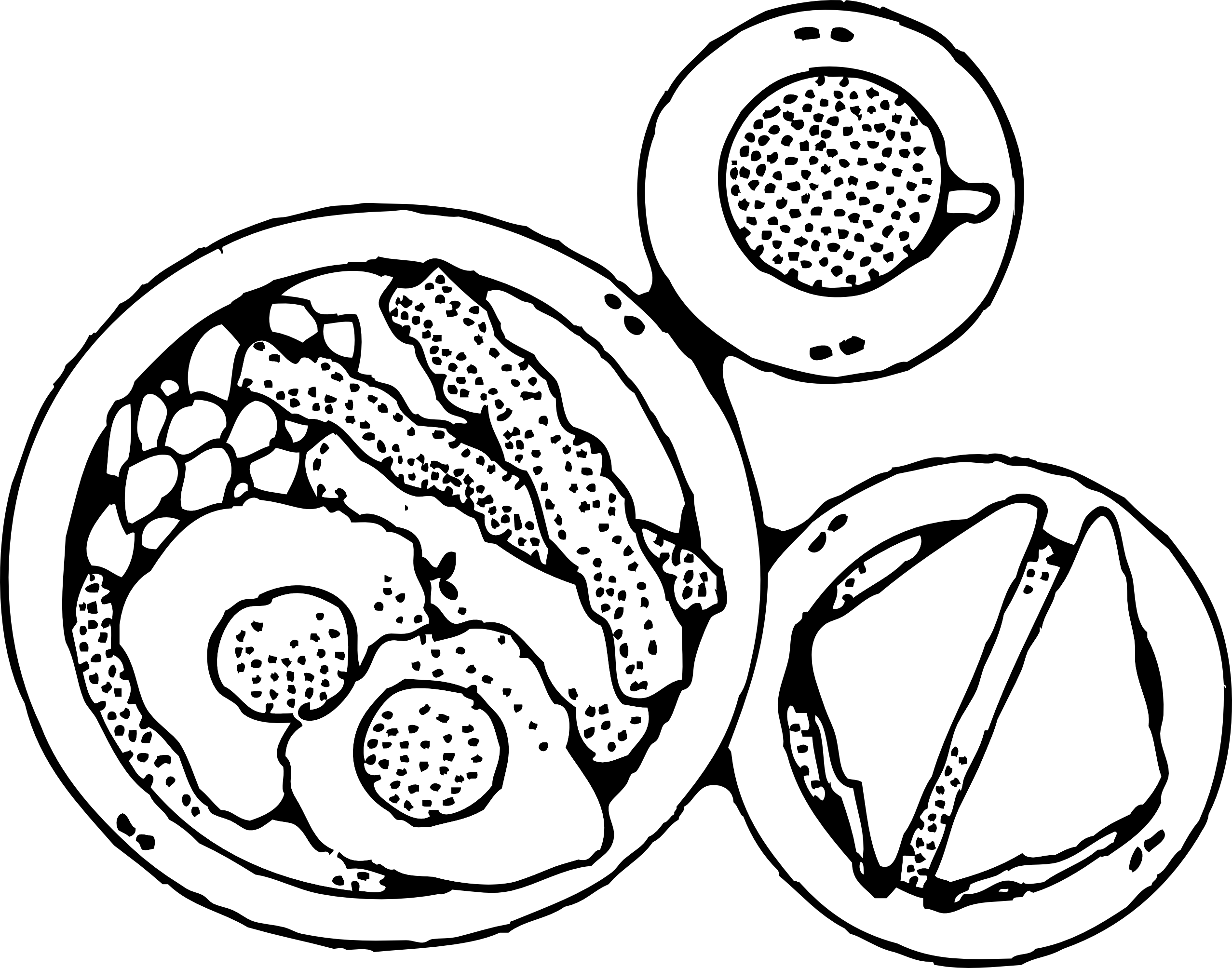 Free Eat Breakfast Clipart Black And White, Download Free