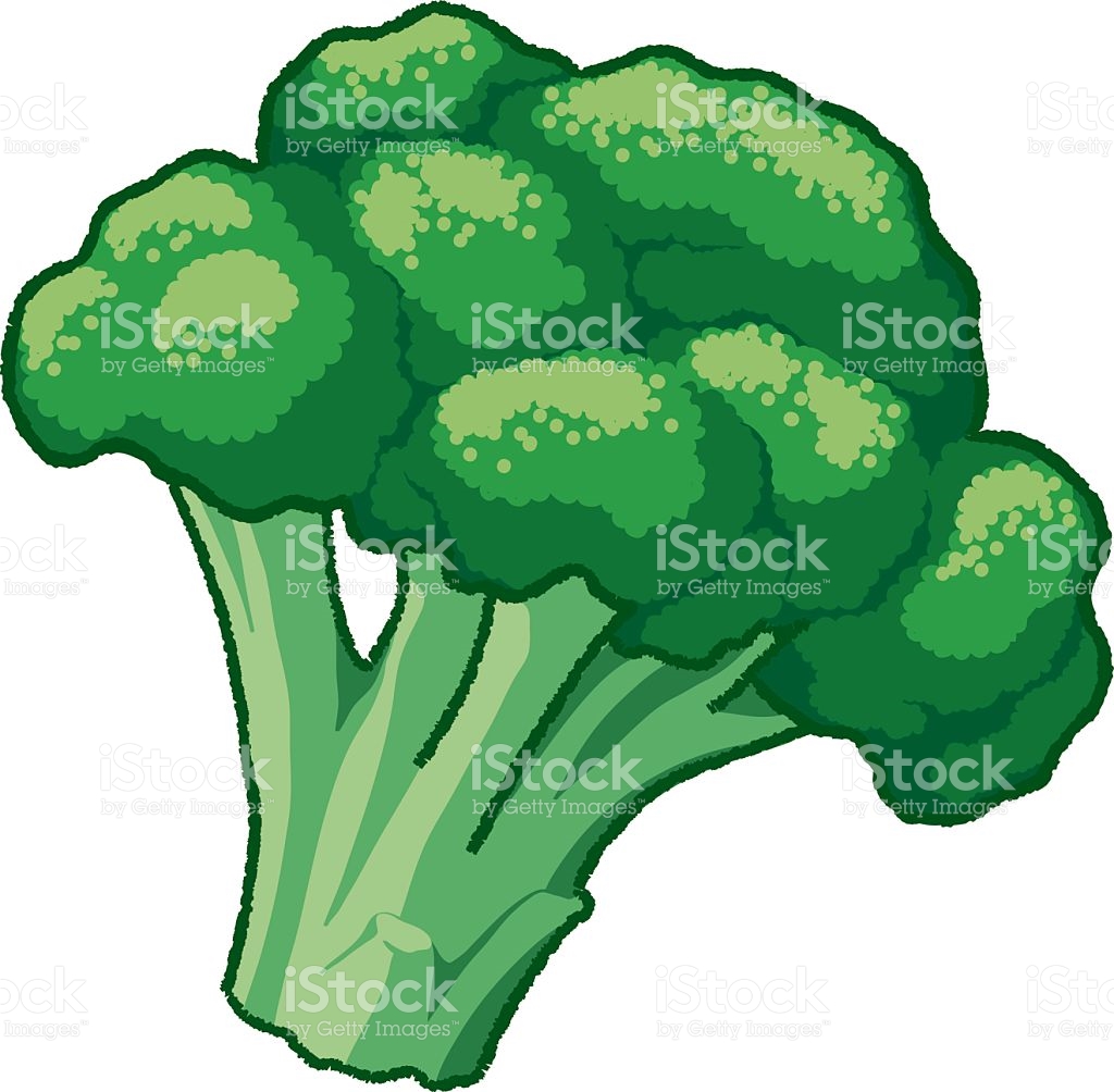 51 broccoli clipart.