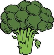 Broccoli clip art Free Vector