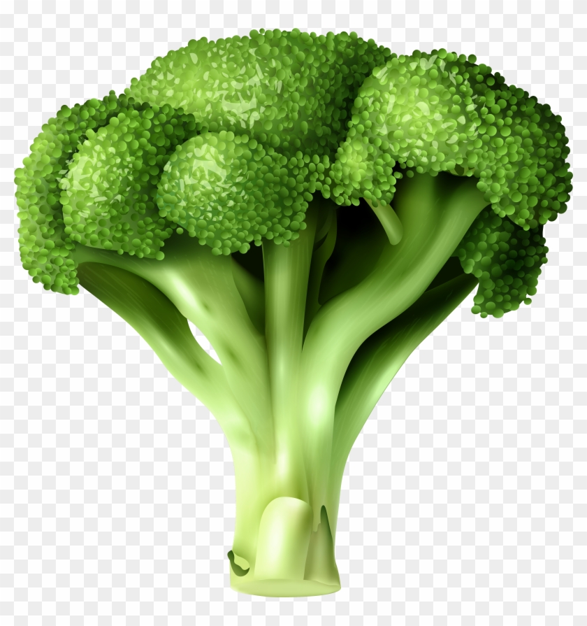 Broccoli png clip.