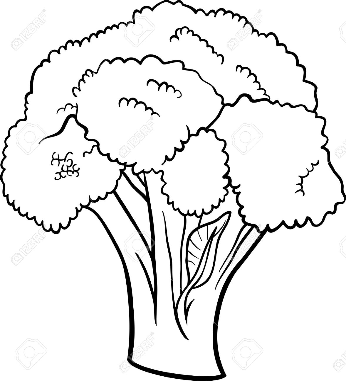 Broccoli clipart black and white