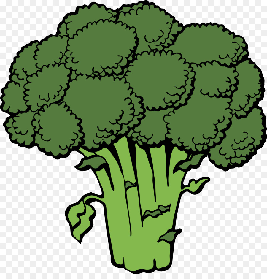 Broccoli clipart green.