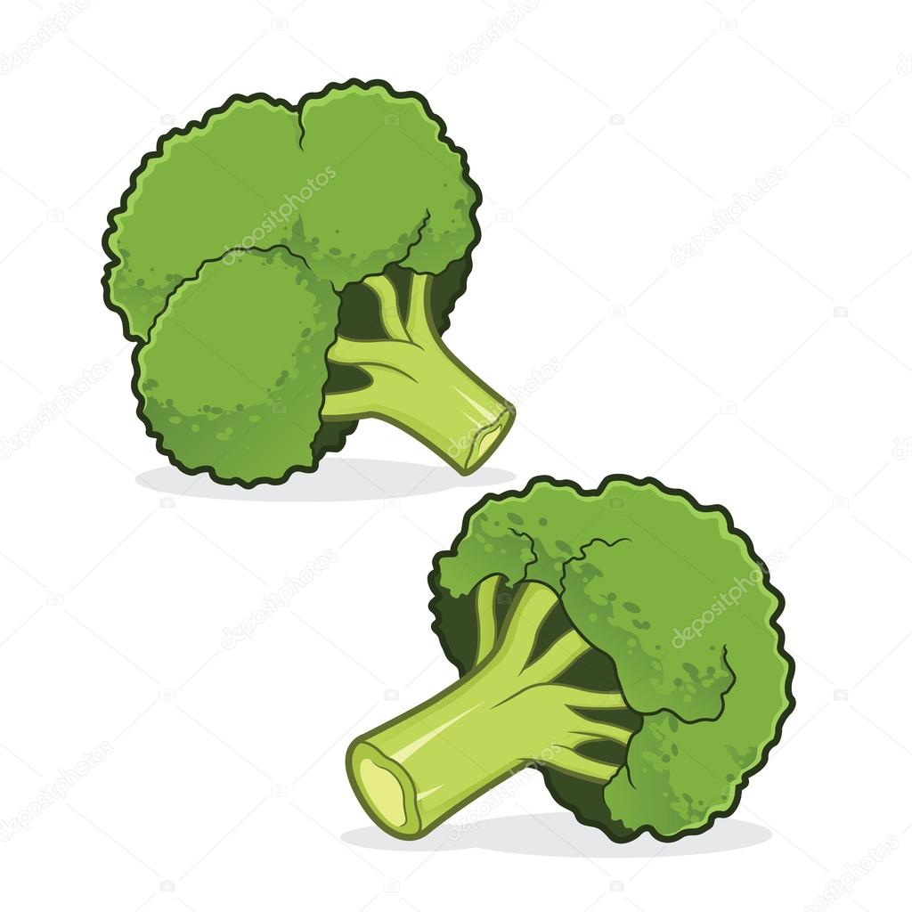 Broccoli clipart for.