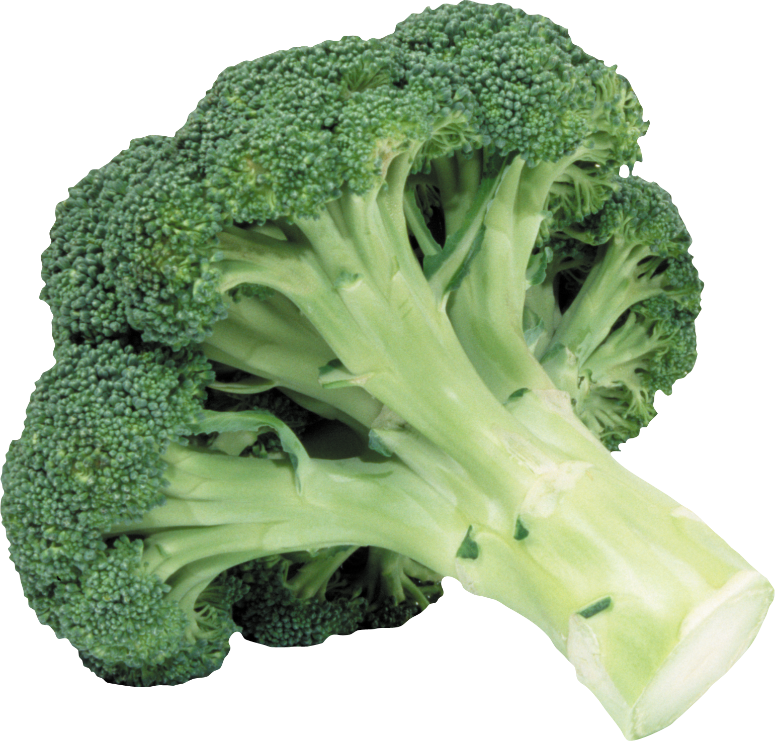Broccoli clipart cauliflower.