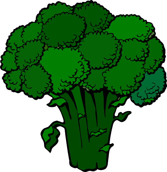 HD Broccoli Clipart Transparent PNG Image Download