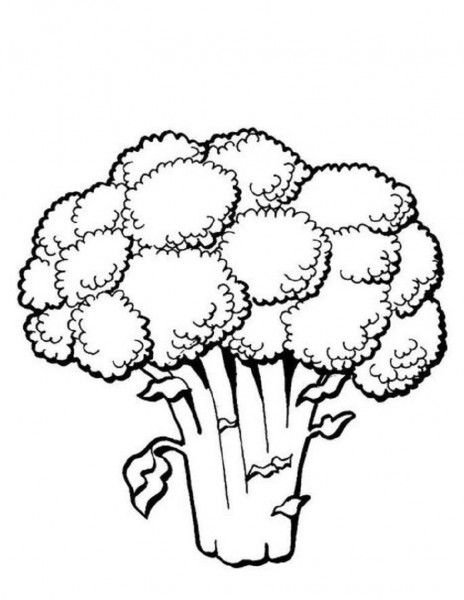 Broccoli clipart coloring page, Broccoli coloring page