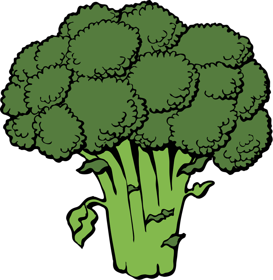 Broccoli clipart transparent.