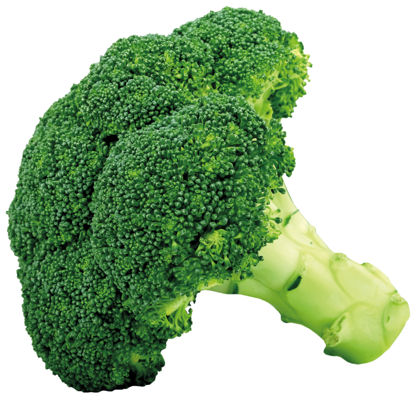 Broccoli png picture.