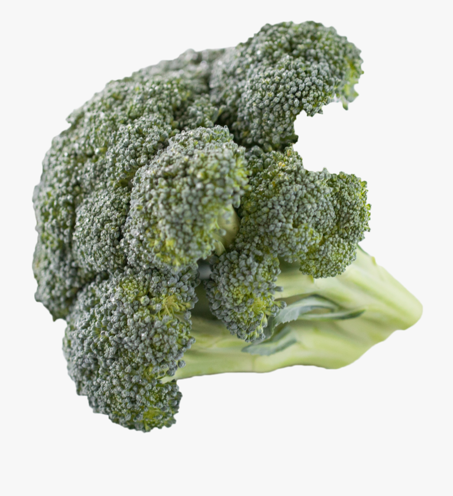Broccoli clipart high.