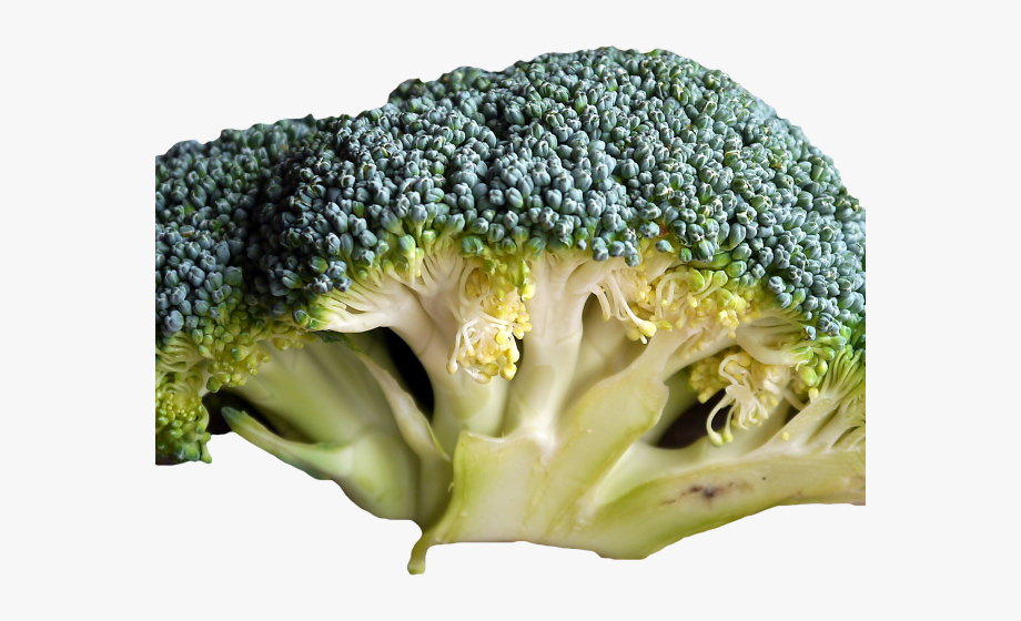 Broccoli Clipart Green Fruit Vegetable