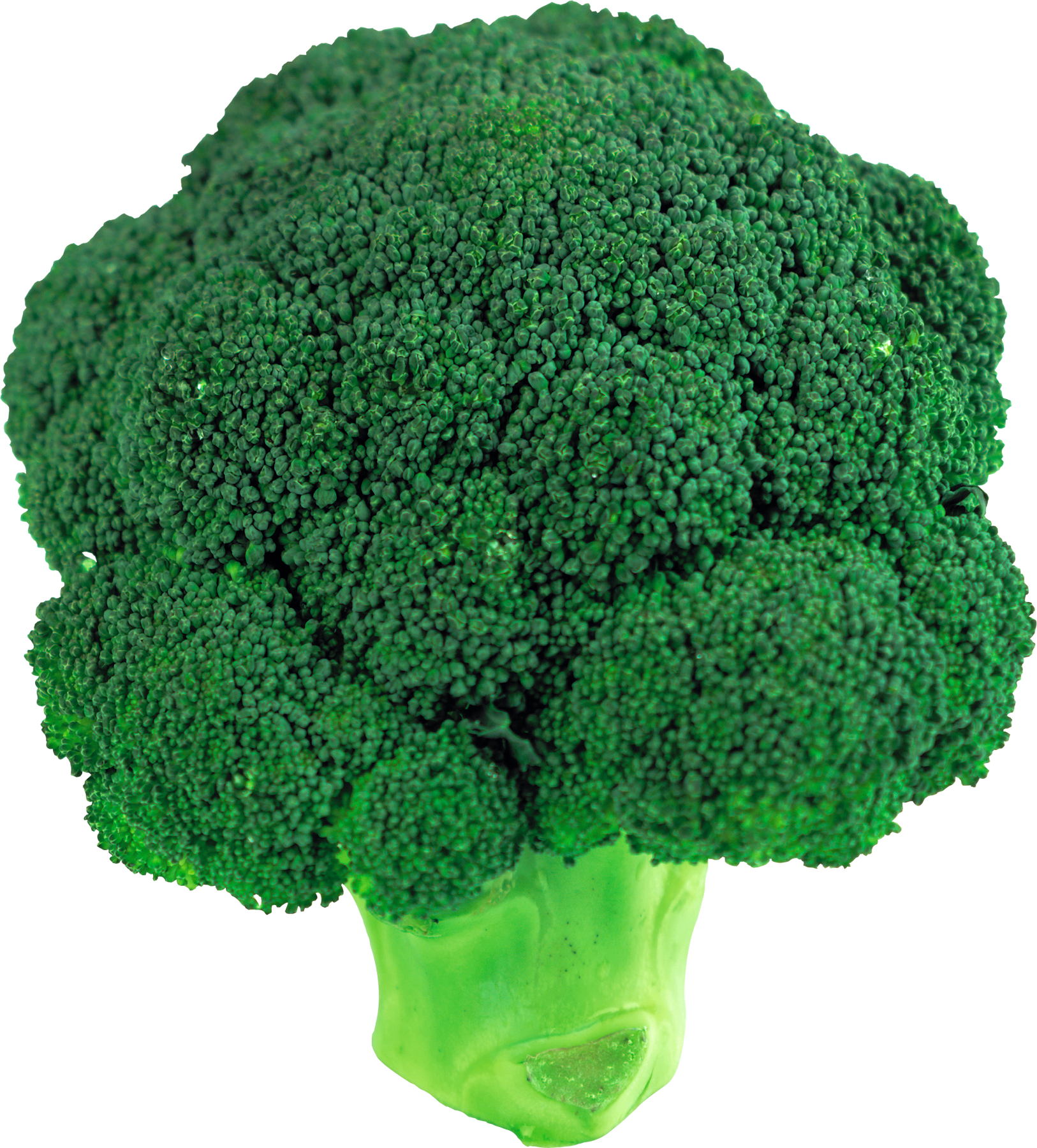 Broccoli clipart transparent.