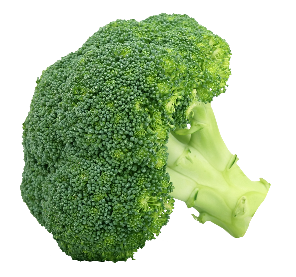 Broccoli png transparent.
