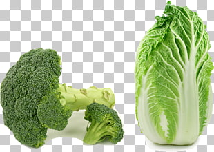 Broccoli Clipart lettuce leaf