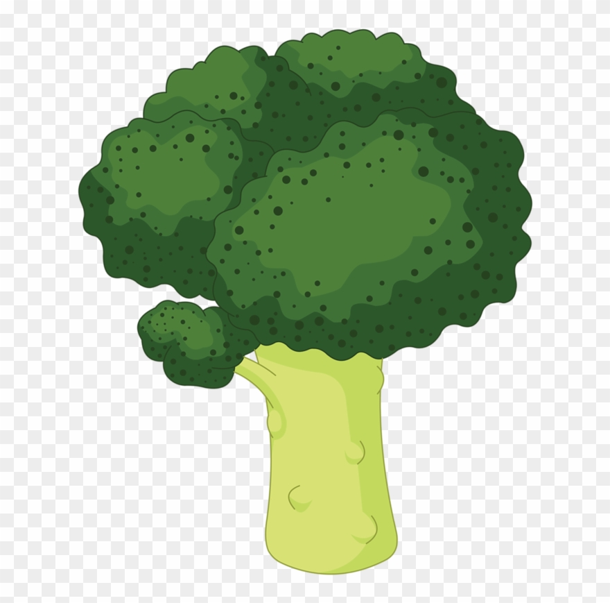 Lettuce Clipart Broccoli