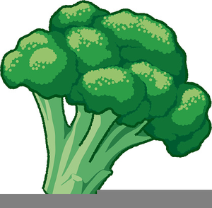 Free broccoli clipart.