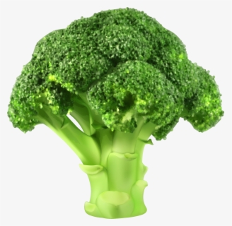 Free broccoli clip.