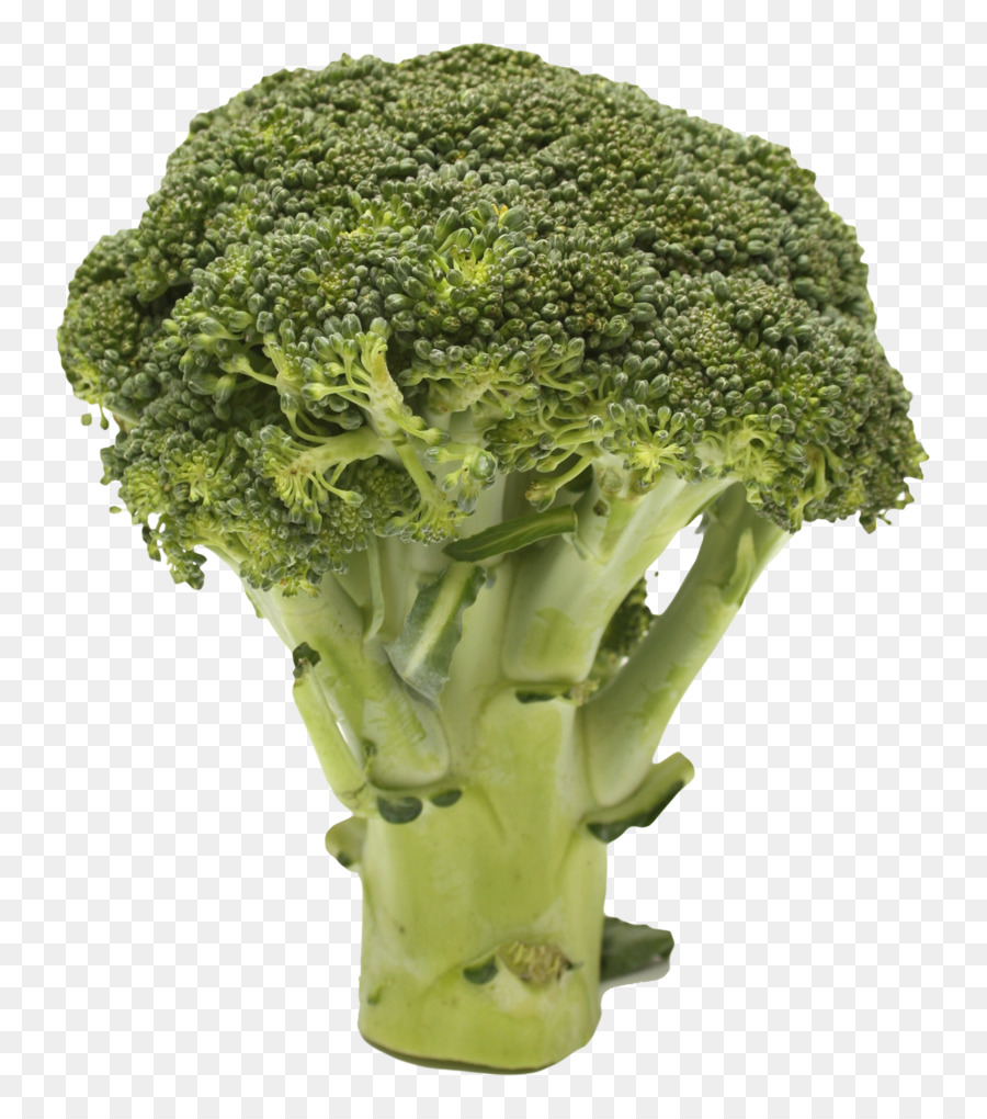 Broccoli Clipart Transparent Background Steamed Broccoli