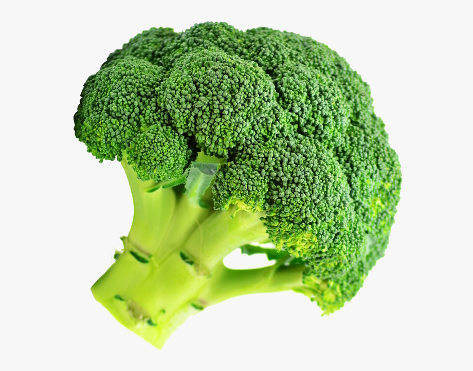 Broccoli 2273398 free.