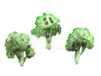 Watercolor broccoli Clipart Image