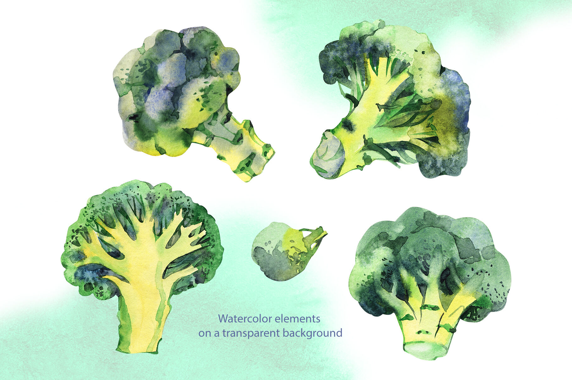 Broccoli watercolor cliparts.