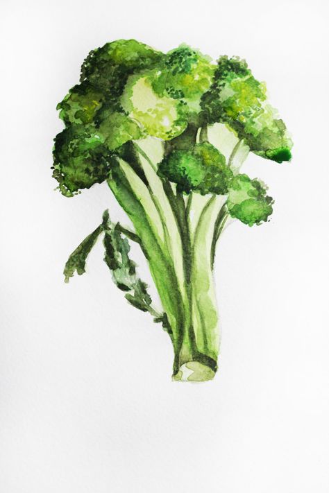 Original watercolor painting, broccoli art, Vegetables art