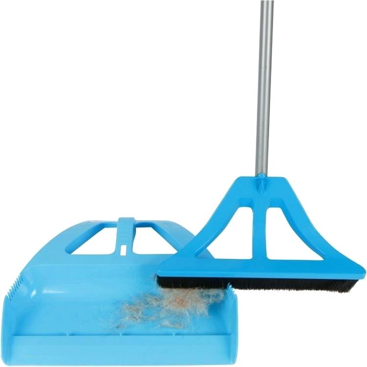 Broom with dustpan.