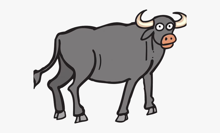 Clipart toro buffalo.