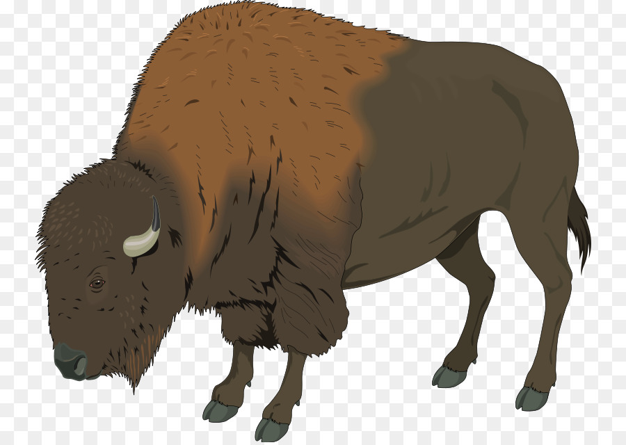 Bison clipart american bison, Bison american bison
