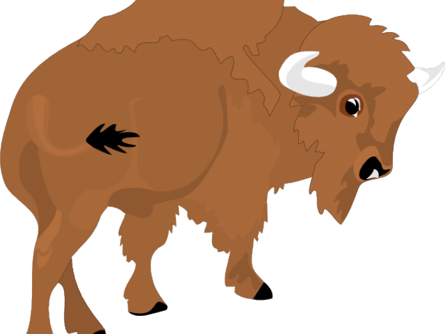 American bison Water buffalo Clip art Cattle Free content