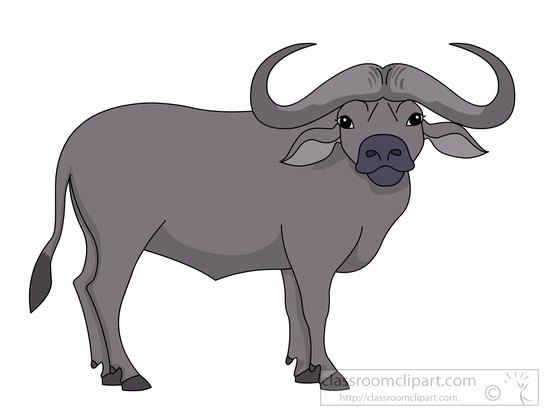 buffalo clipart animated