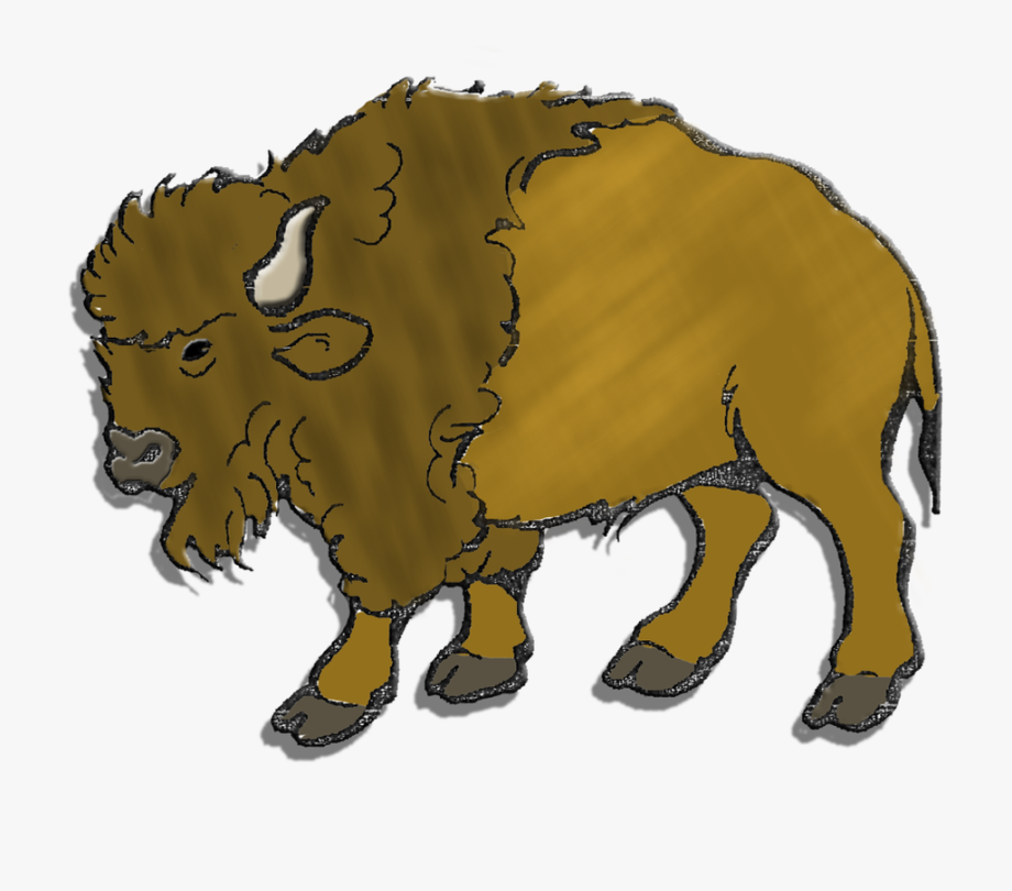 Herd Clipart Buffalo