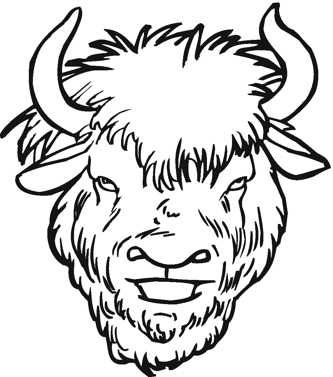 buffalo clipart head
