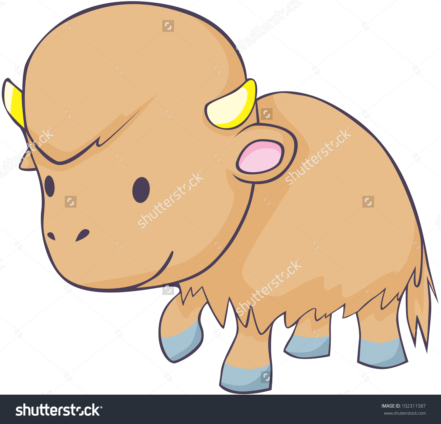 Cute baby buffalo