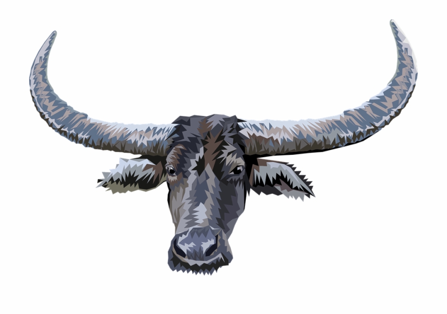 Animal head buffalo.
