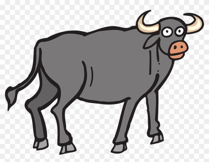 Cow Vector Buffalo Indian