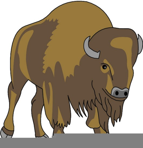 Buffalo clipart buffalo.
