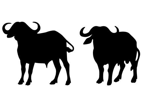 Buffalo silhouette vector.