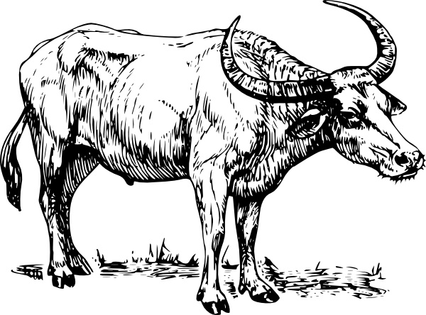Buffalo clip art Free vector in Open office drawing svg