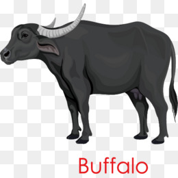 Download Free png Buffalo Png, Vectors, PSD, and Clipart for