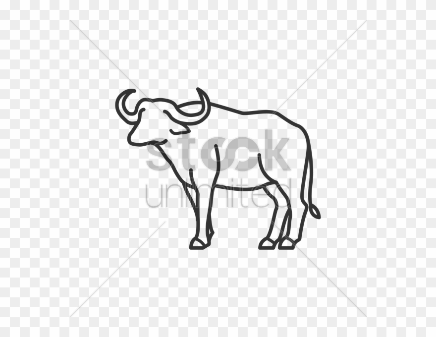 buffalo clipart vector