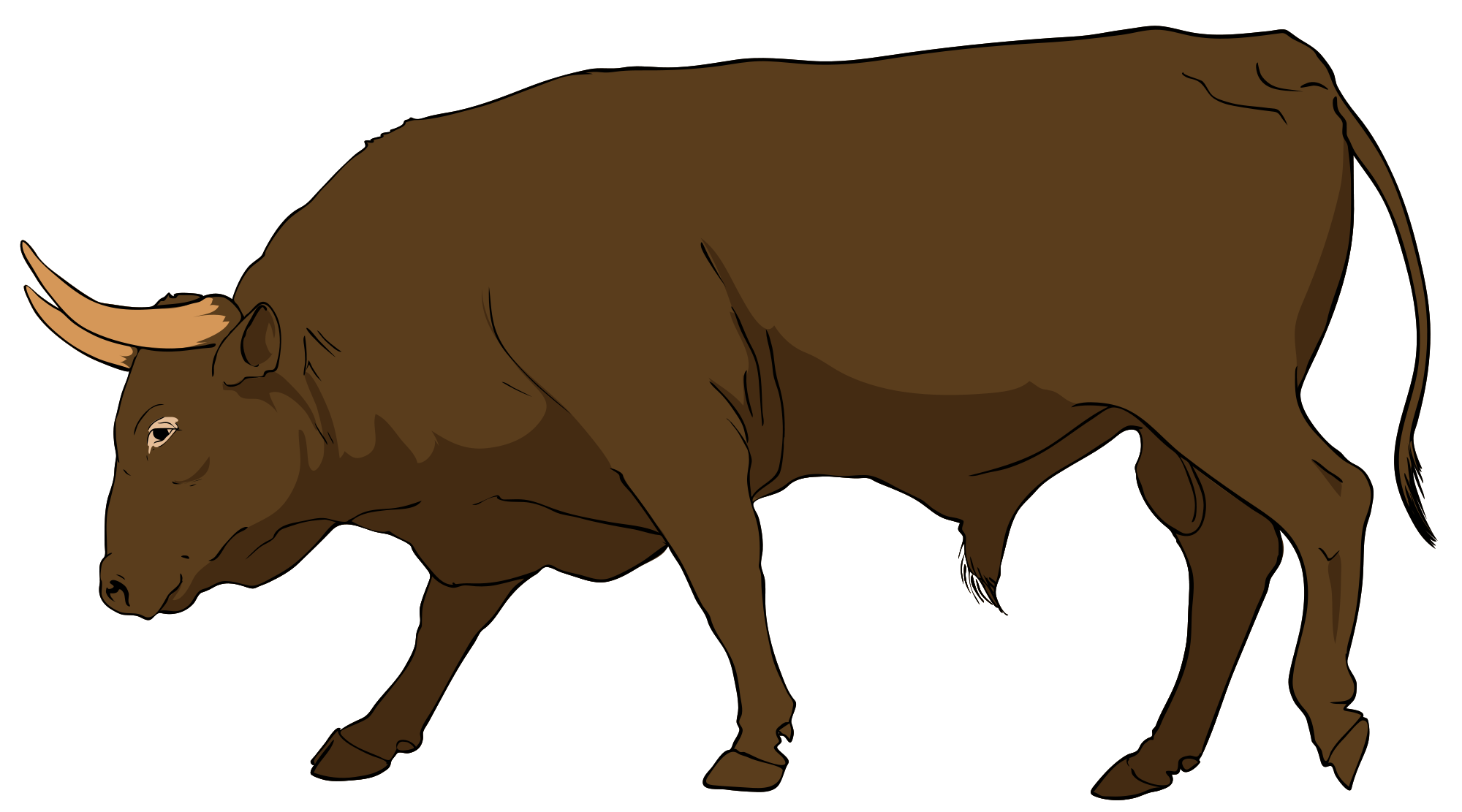 Clipart baby bull, Clipart baby bull Transparent FREE for